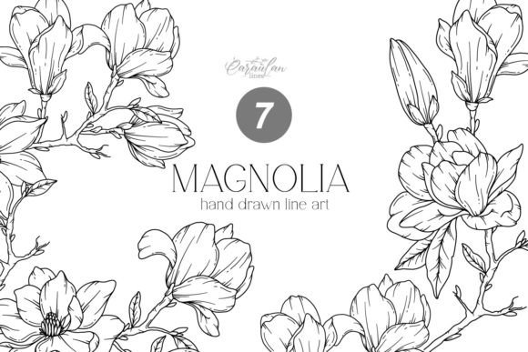 Download MAGNOLIA LINE DRAWING, Floral Line Art - Line drawing Collection
