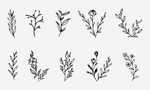 Download Flower Line Drawing Vector Illustration - Line drawing Collection