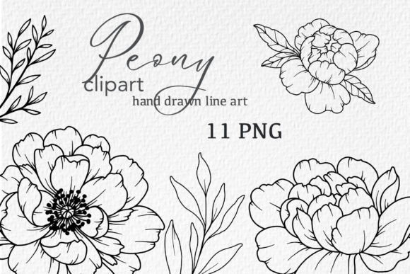 Download Peonies LINE DRAWING, Floral Line Art - Line drawing Collection