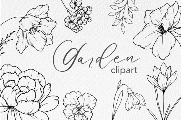 Download FLOWERS LINE DRAWING, Floral Line Art - Line drawing Collection