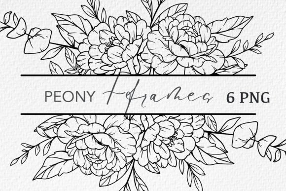 Download Floral Line Art, Peony Line Drawing - Line drawing Collection