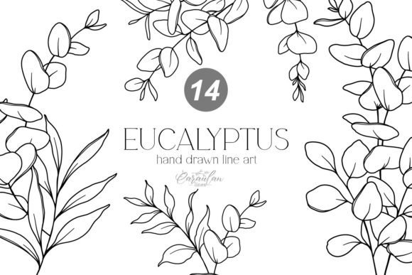 Download EUCALYPTUS LINE DRAWING, Floral Line Art - Line drawing Collection